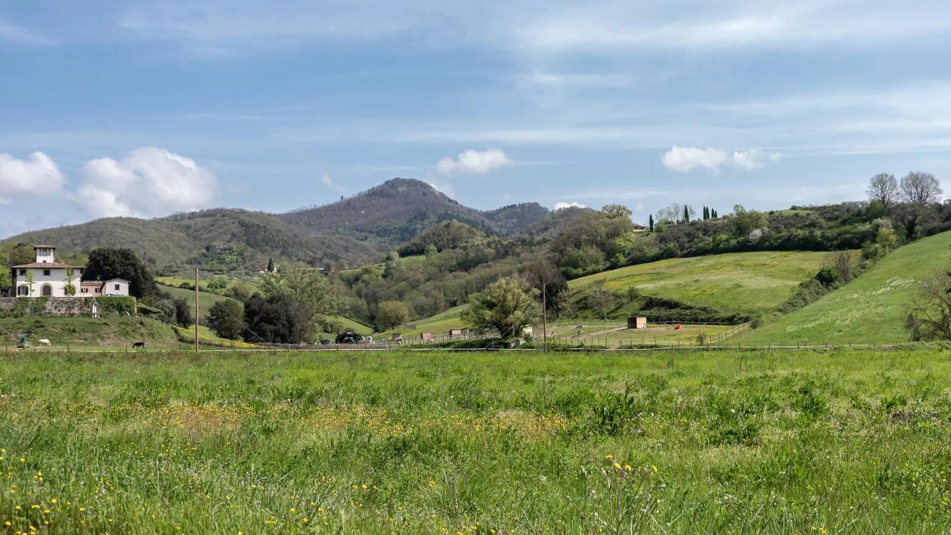 Agriturismo Il Ponte - Frantoio Vicchio Alloggio per agriturismo