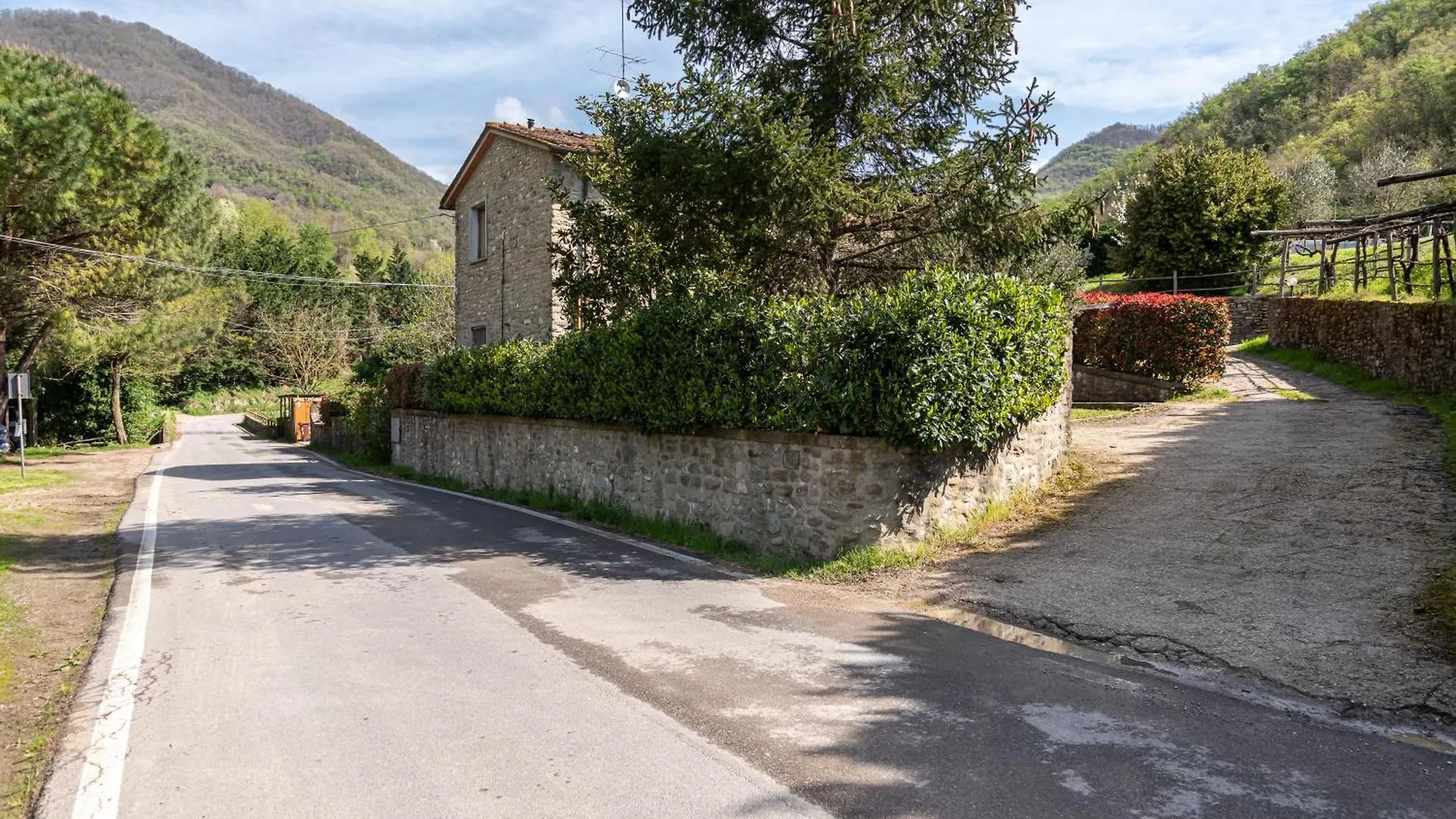 Agriturismo Il Ponte - Frantoio Vicchio Alloggio per agriturismo